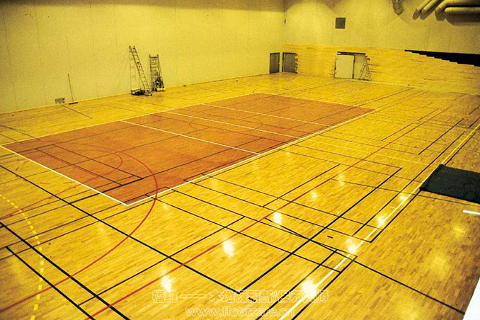 運動木地板 運動木地板