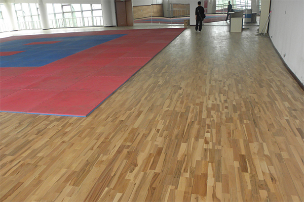 運(yùn)動(dòng)木地板 運(yùn)動(dòng)木地板