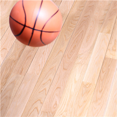 YEC_4106.jpg YEC_4106.jpg