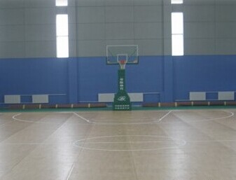 運(yùn)動(dòng)地板,遼寧撫順運(yùn)動(dòng)地板