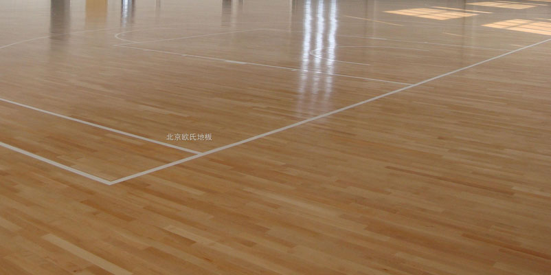 遼寧撫順運(yùn)動(dòng)地板廠新價(jià)格更新