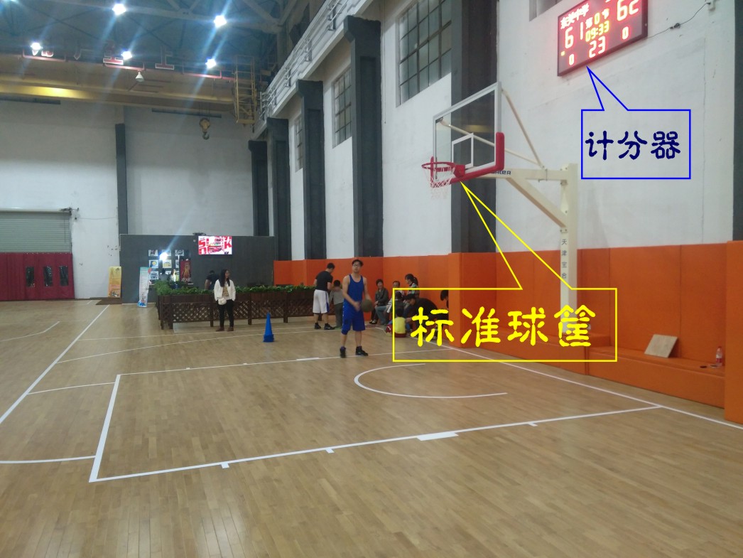 運(yùn)動木地板,體育木地板 運(yùn)動木地板,體育木地板