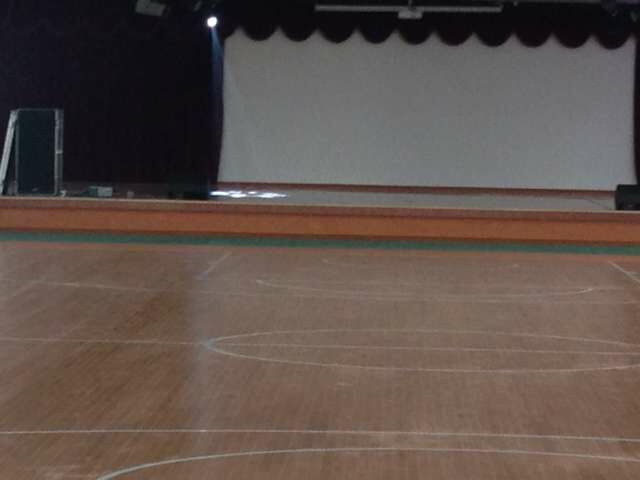 運(yùn)動木地板 運(yùn)動木地板