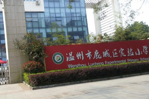 運(yùn)動(dòng)木地板 運(yùn)動(dòng)木地板