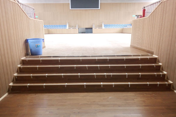 運(yùn)動(dòng)木地板 運(yùn)動(dòng)木地板