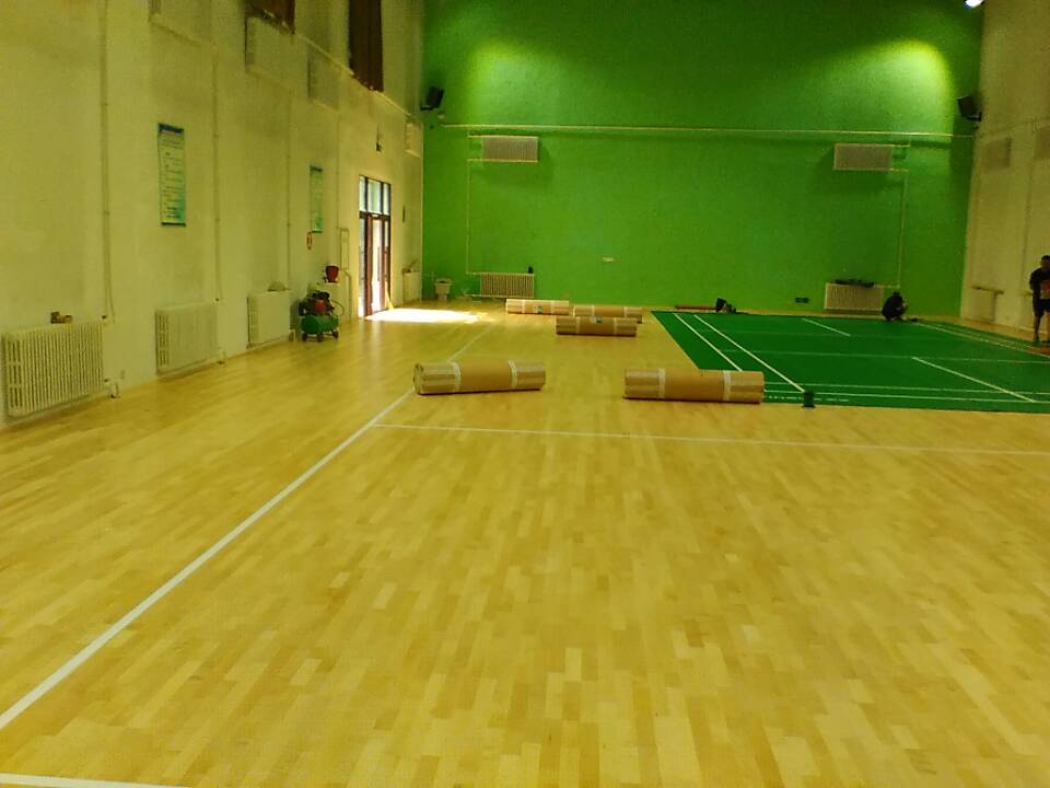 運(yùn)動(dòng)木地板 運(yùn)動(dòng)木地板