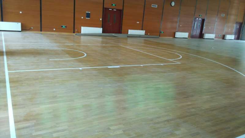 運(yùn)動(dòng)木地板 運(yùn)動(dòng)木地板