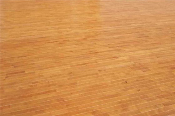 運(yùn)動(dòng)木地板 運(yùn)動(dòng)木地板