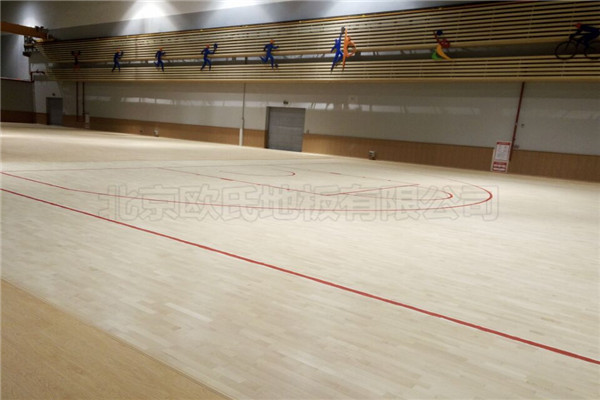 運動木地板 運動木地板