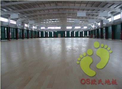 豐臺鄭常莊康體休閑中心運動木地板鋪設(shè)