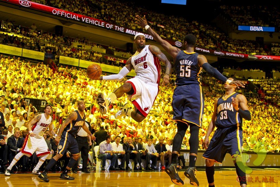 歐氏籃球場運(yùn)動木地板的安裝及性能結(jié)構(gòu)特點